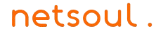 NetSoul Web Hosting